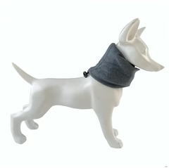 Cluasáin Inchoigeartaithe do Pheataí