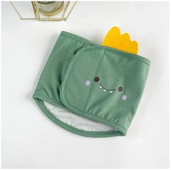 Brístí Sláinteacha Inscne do Mhadraí – In-athnuaite & In-oiriúnaithe