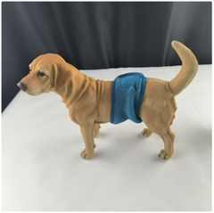 Scuabán Madra Mná as Mogaill In-análaithe