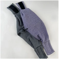 Cluasáin Inchoigeartaithe do Pheataí