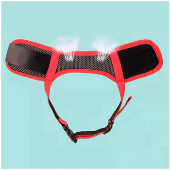 Srónbheilt Mhadra as Mogaill In-análaithe