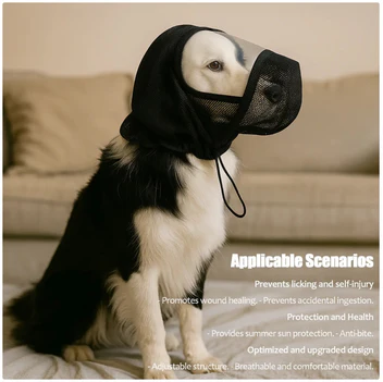 Sciath Aghaidh In-análaithe do Mhadraí