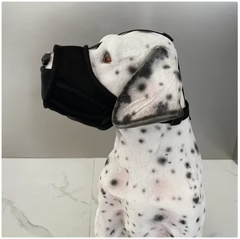 Múiscín Madra Mogallálach Inálaithe