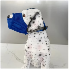 Múiscín Madra Mogallálach Inálaithe