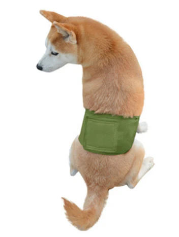 Scuabán Madra Mná as Mogaill In-análaithe