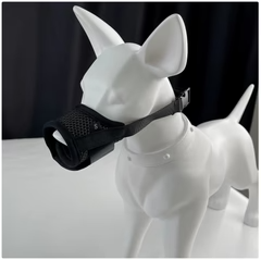 Srónbheilt Mhadra as Mogaill In-análaithe