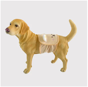 Brístí Sláinteacha Inscne do Mhadraí – In-athnuaite & In-oiriúnaithe