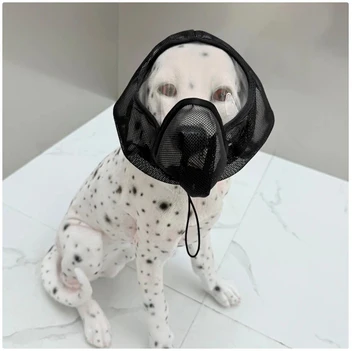 Sciath Aghaidh In-análaithe do Mhadraí