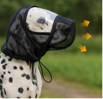 Sciath Aghaidh In-análaithe do Mhadraí