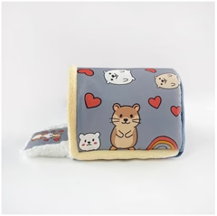 Teach Fola Beag do Pheataí Beaga