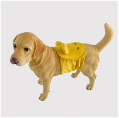 Brístí Sláinteacha Inscne do Mhadraí – In-athnuaite & In-oiriúnaithe