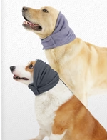 Cluasáin Inchoigeartaithe do Pheataí