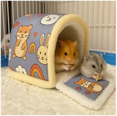 Teach Fola Beag do Pheataí Beaga